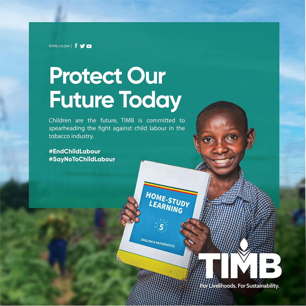 1200 X 1200 TIMB-min (1)