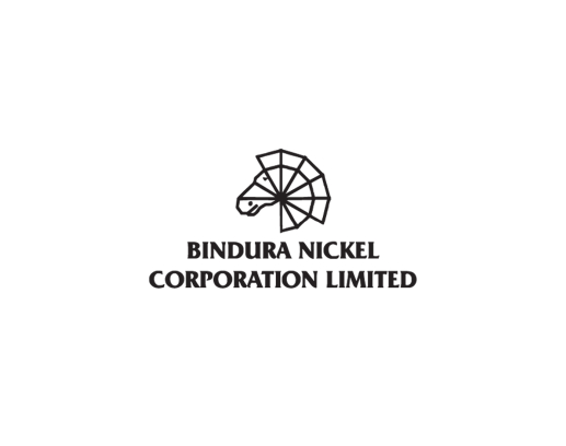 Bindura Nickel