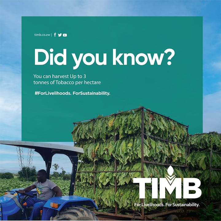 1200 x 1200_1-min (1)